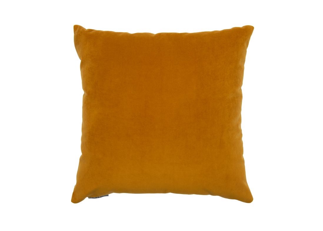 Elements Turmeric Cushion